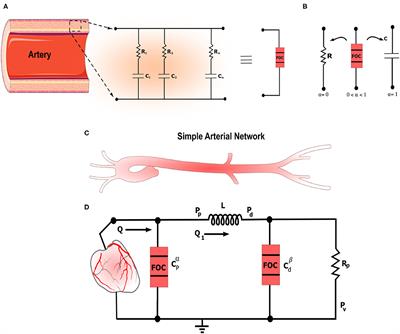 Human Hypertension Blood Flow Model Using Fractional Calculus